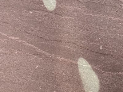 11 Spotted Red Scaled Rg96avbks6ztktuouz9xonnyhm09nd1rudv0cw70s8