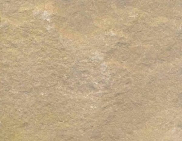 19 Yellow Dust Scaled Rg977y95qzus1lvir7vaw7iw9p4v7nwar97xdey9sw