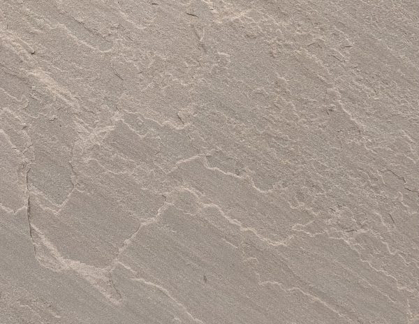 2 Autumn Brown Scaled Rg96qfjgd5vdn9bo258mx4olo5hkqrceojh4cqxfs0